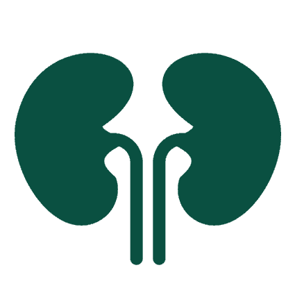 Acute Kidney Disease