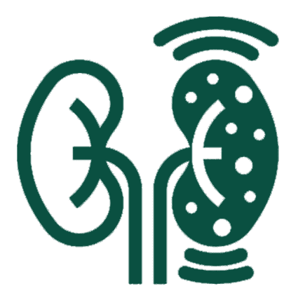 Acute Kidney Disease